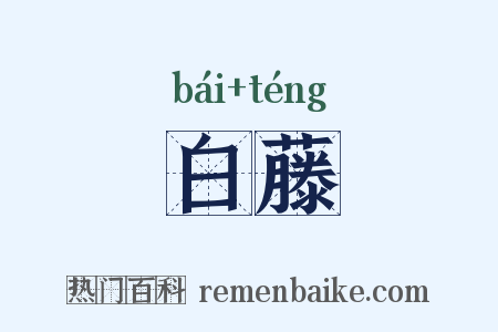 白藤是什么意思的图片